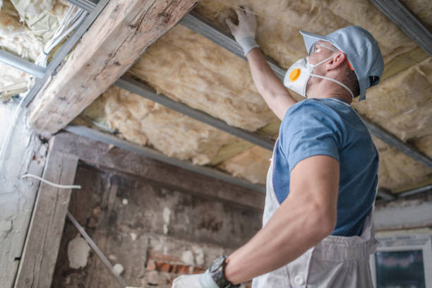 Best Insulation Maintenance and Repair in South Huntington, NY